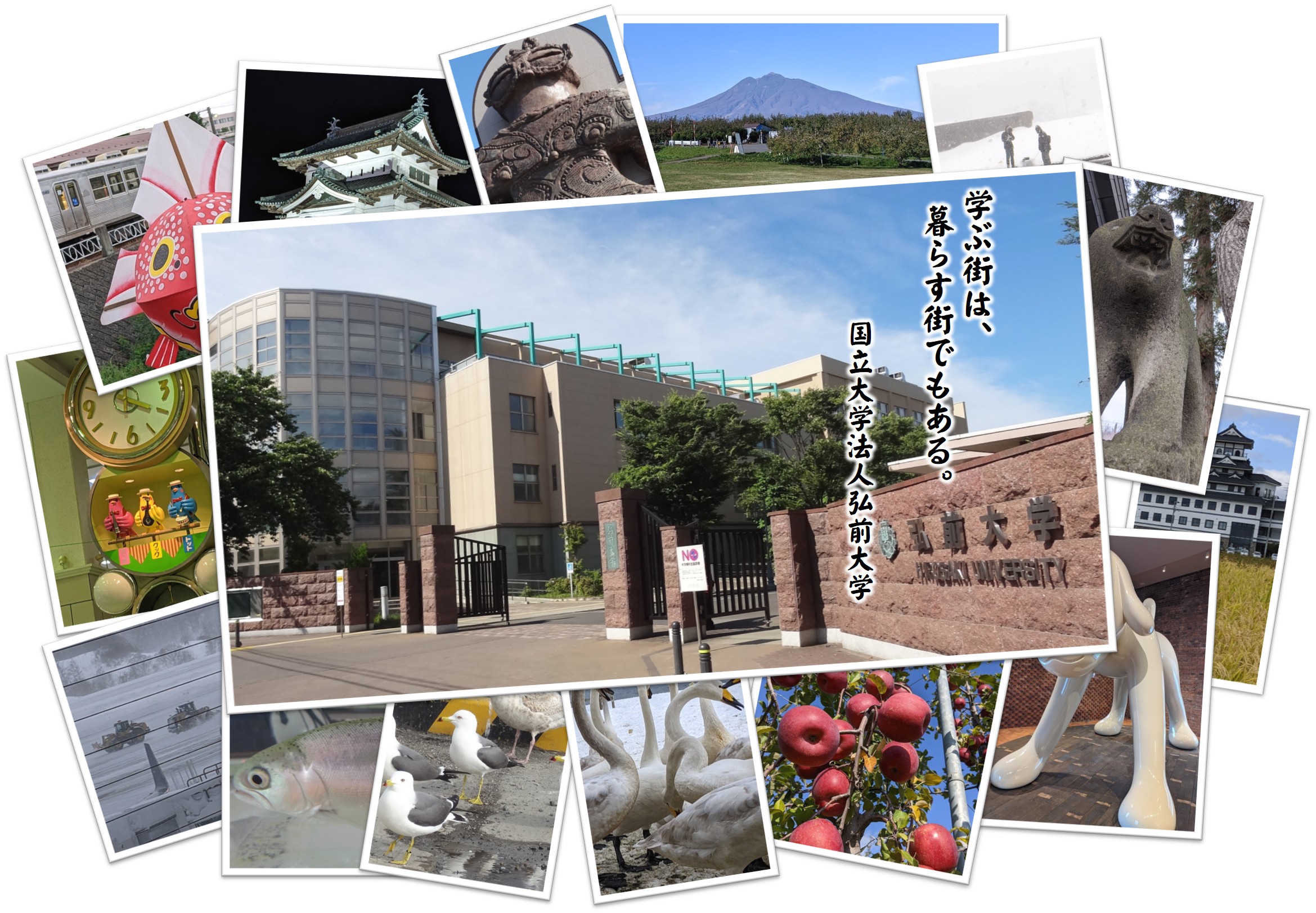 Hirosaki University