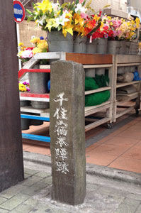 senju1